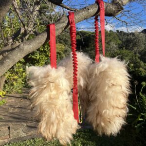 Mossegador nansa llarga ovella