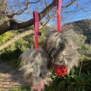 Mossegador nansa curta d'ovella amb pilota JW